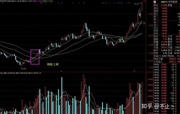 系列均线篇第六讲:135战法(二)蚂蚁上树