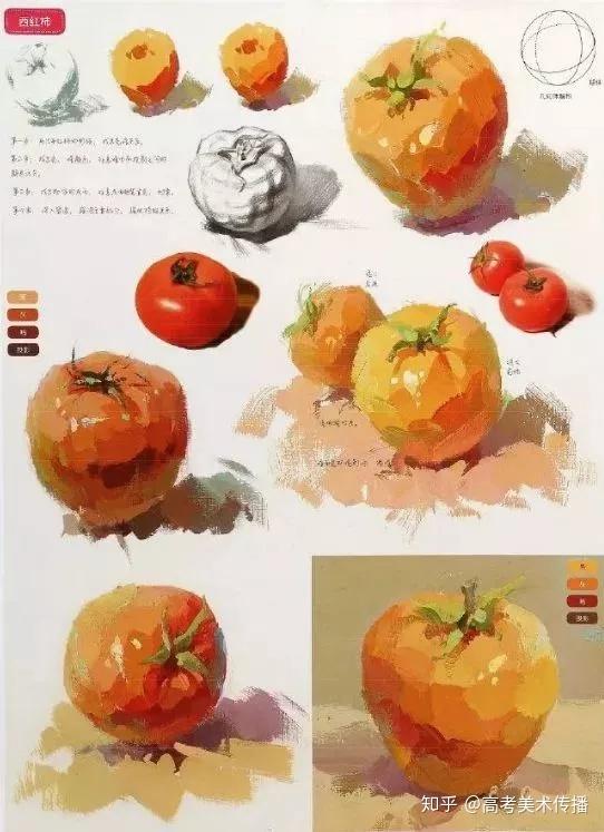 美术生色彩:单体色彩步骤解析,水果,蔬菜及各类瓶子