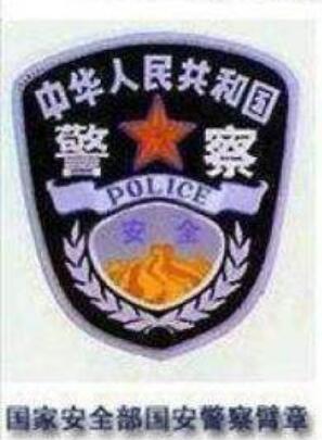 街上那么多穿制服的怎么分辨警察制服之臂章系列