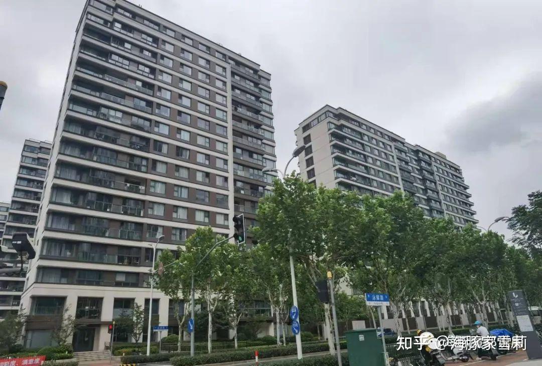 20w平的前滩不过是一场豪赌