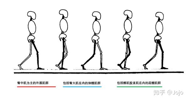 ddh截骨术后是不是练好臀中肌就不会瘸