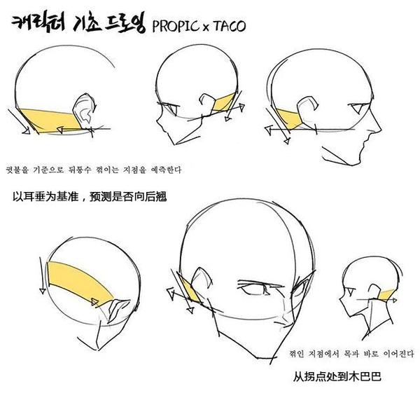 学画动漫头部从看懂绘画透视素材开始