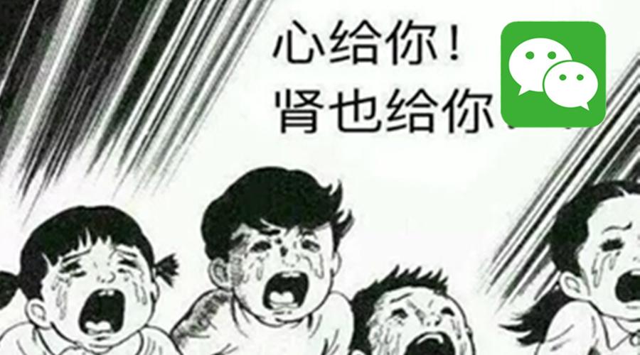 微信这 5 个不起眼的功能,救了我一条狗命