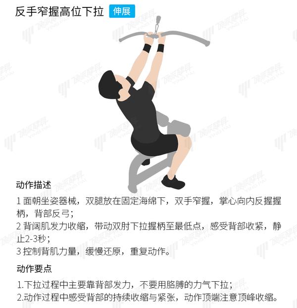 我们知道,肌肉是从固定点开始激活的: 高位下拉是近固定,所以肌群的