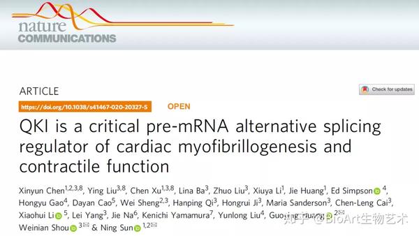nat commun|孙宁等合作揭示rna结合蛋白quaking在心脏