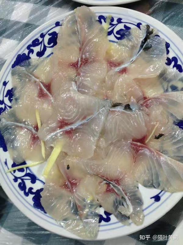 横县鱼生