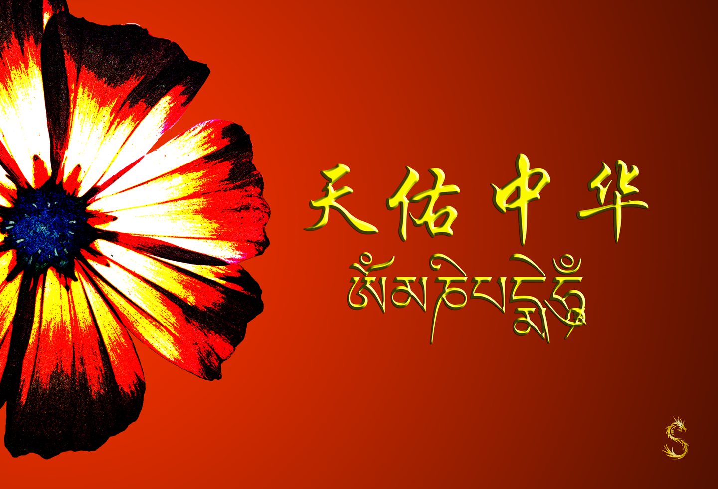 天佑中华