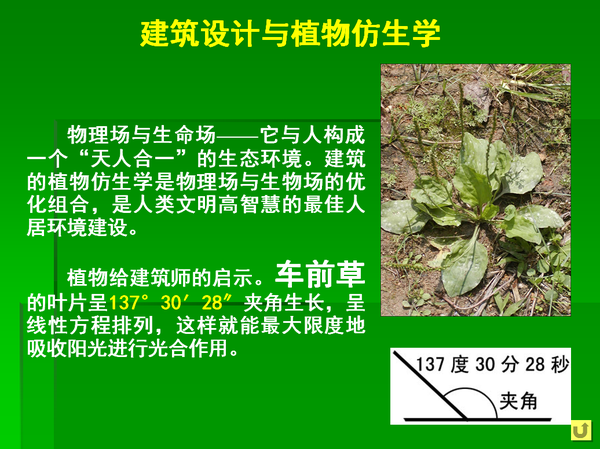 建筑设计与植物仿生学
