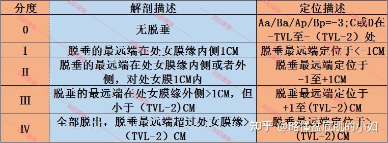 妇科盆腔器官pop-q分度截图,谁会看?