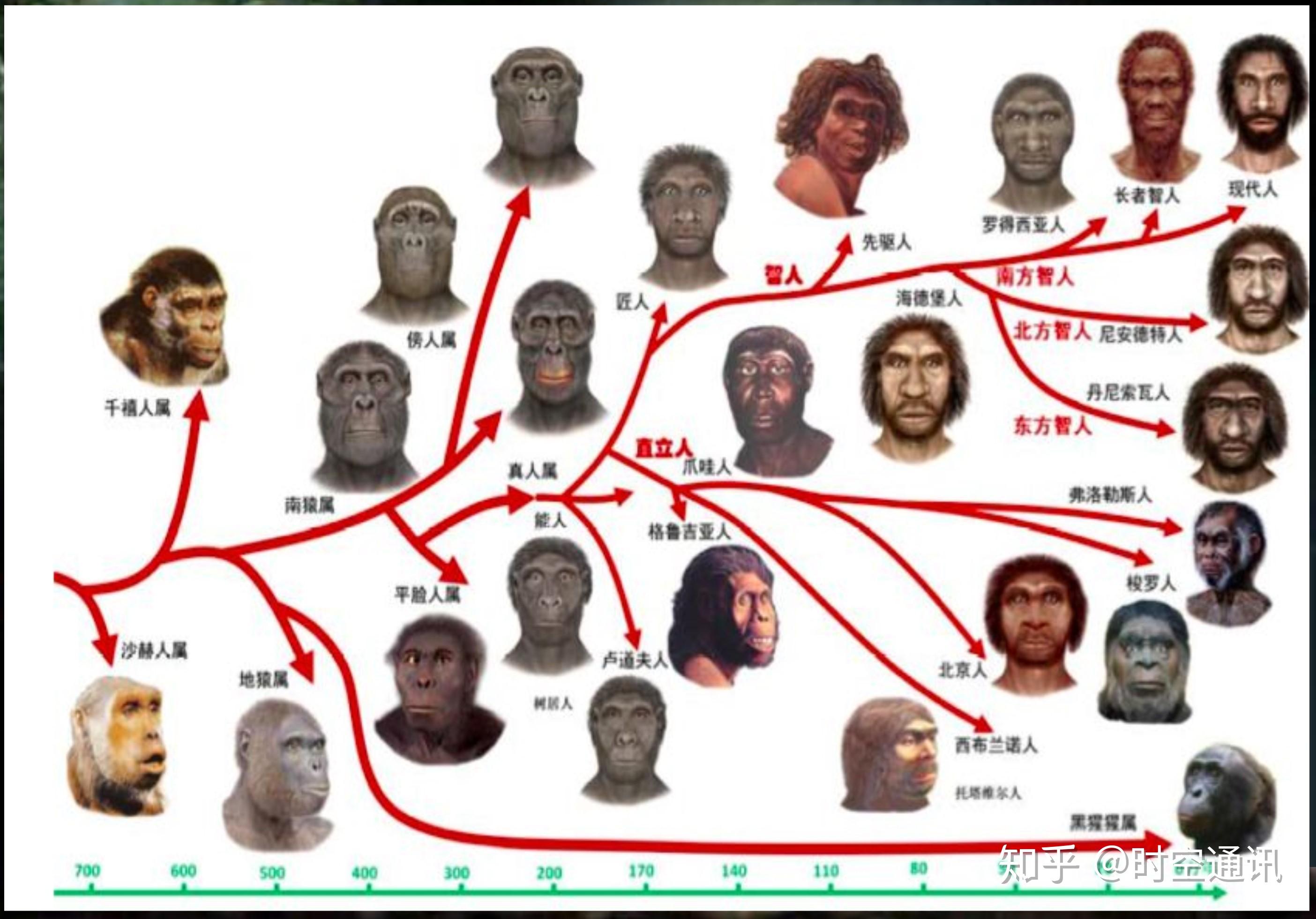 粒体dna追踪,寻找出现代人类迁徙路线图,从而追溯到现代人类最早祖先