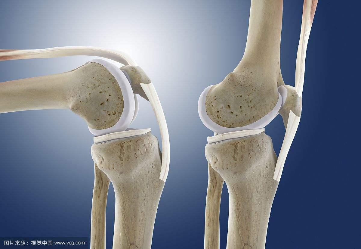 膝关节的屈伸运动
