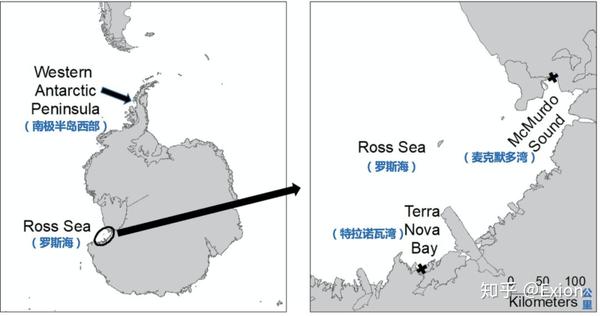 antarctic ocean,antarctica 家们发现,一些鲸鱼向南大西洋西部 (western south atlantic ocean)