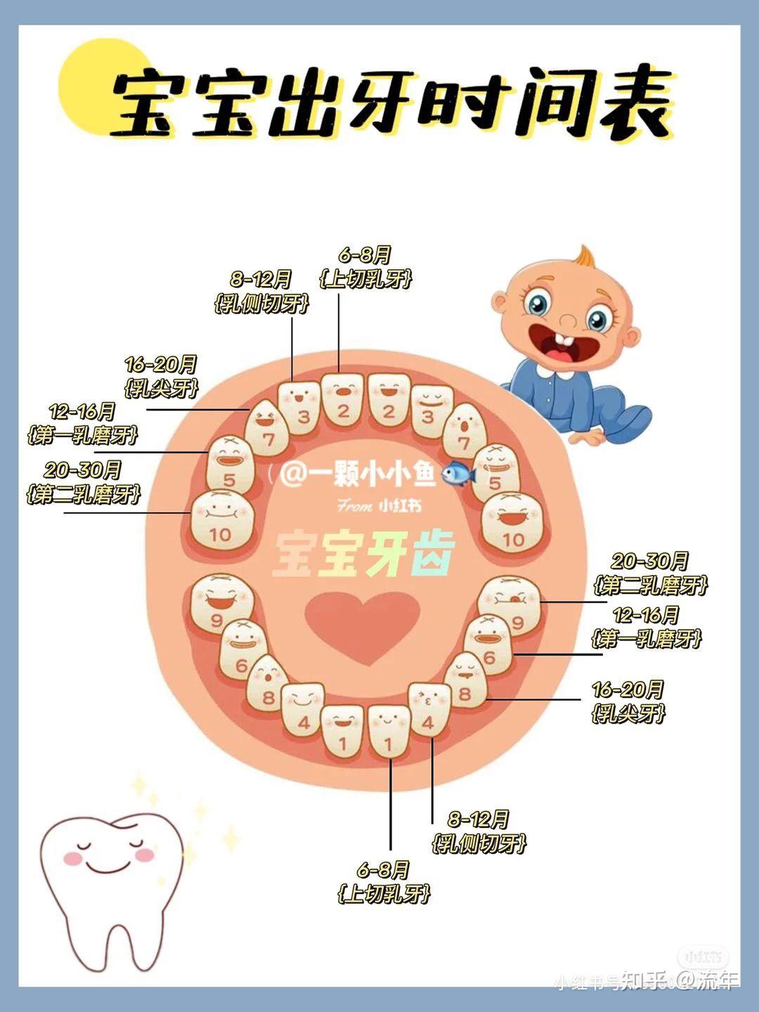 宝宝出牙晚是因为缺钙吗