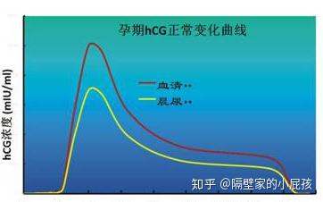 hcg是什么?早孕试纸是什么?