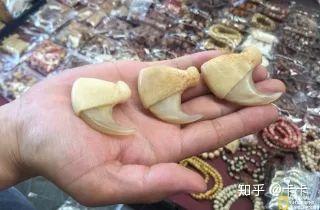 旅游区狮子的爪子做成的纪念品