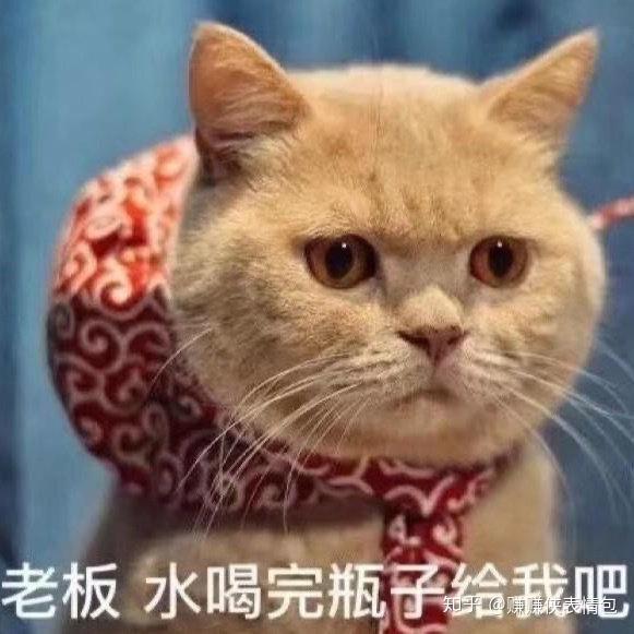 热门表情包图片:适合发朋友圈,使坏的表情包