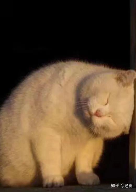 什么都会结束,就是烦恼会没完没了.