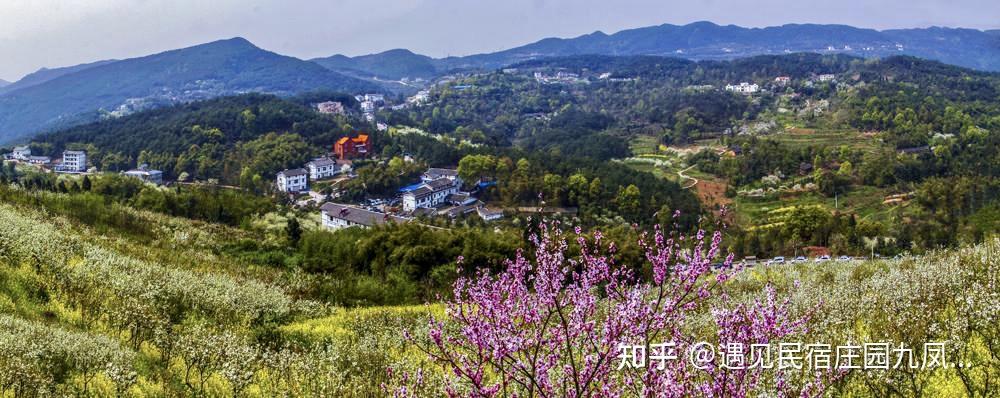 重庆九凤瑶池乡村酒店遇见花园民宿