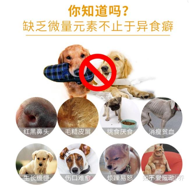 狗狗缺乏微量元素怎么办