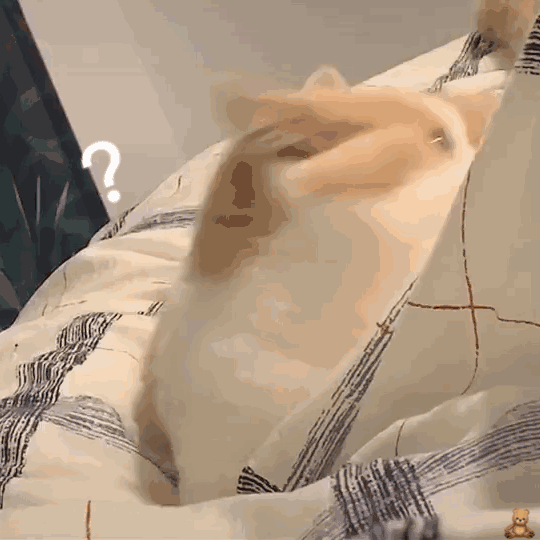 可爱喵咪表情包gif - 知乎