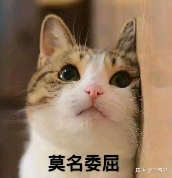 现在就固定差不多每天晚上视频聊天啥的碳化视频炉图片