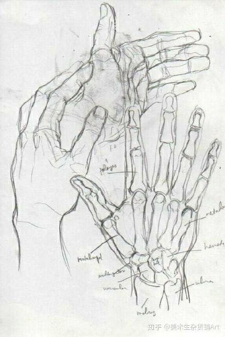 78干货来啦素描手部你还在因为不会画手烦恼麽赶快来学习一下吧