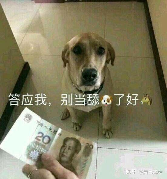 舔狗到底有多卑微?