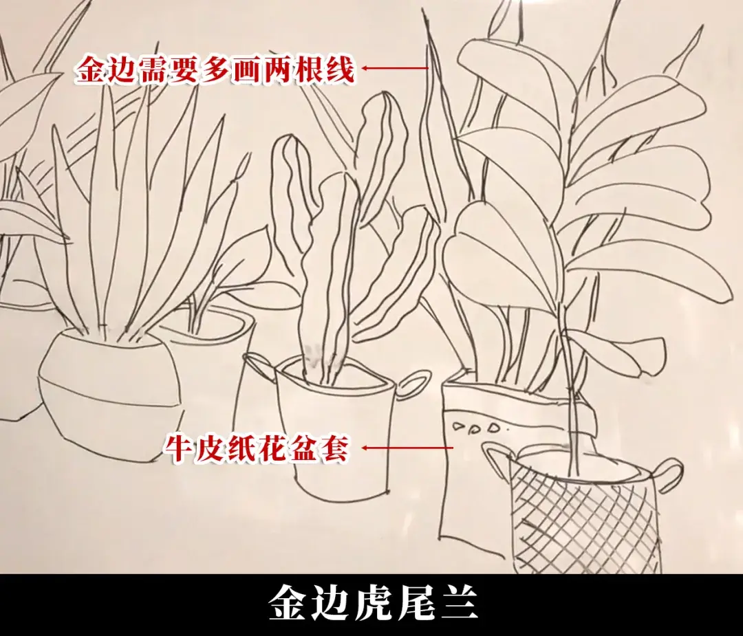 画法拆解教你7种简笔画ins风植物