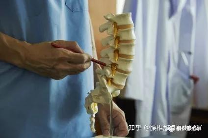 马尾由腰2至腰5,骶1至骶5及尾节发出的共10对神经根组成