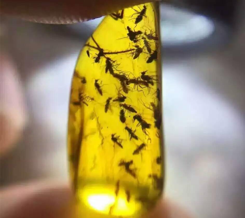 首发于琥珀蜜蜡知识讲堂 关注专栏 写文章