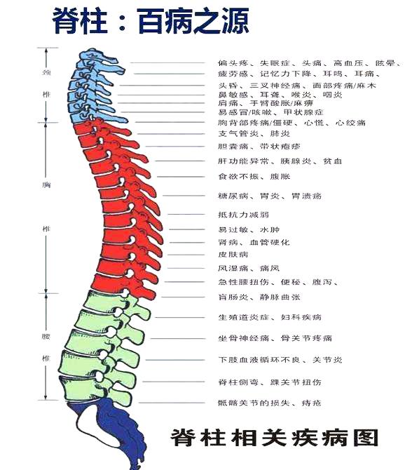 筋骨开发上班族你的脊柱还好吗