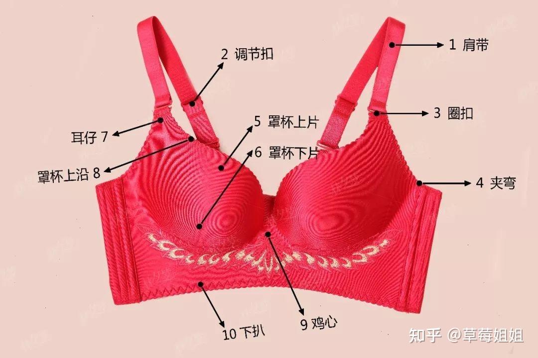 如何挑选合适的内衣
