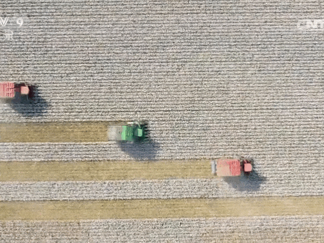 h&m因新疆棉花抵制被中国应用下架