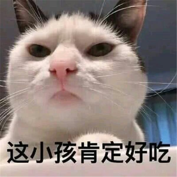 高三校外一对一真的靠谱吗