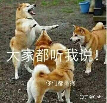 一只狗能无耻到什么地步?