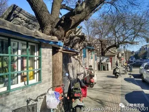 恬淡闲适的老北京居住区西绒线胡同