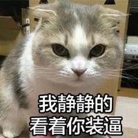 啥?有啥好处,去了这个活动能保证我有什么好处么?
