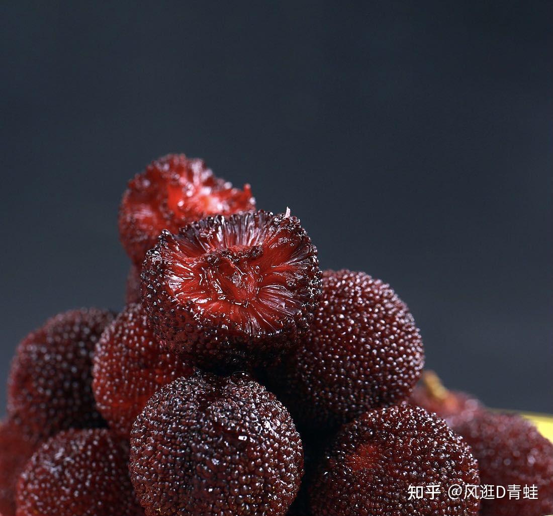 条件都非常适合杨梅的生长,成熟期早,品质也较好,东魁,荸荠,火炭为该