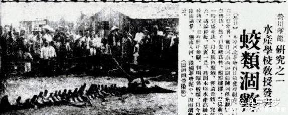 1934年营口坠龙事件还原