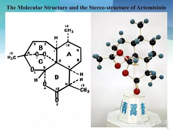 青蒿素的分子结构和立体构型
