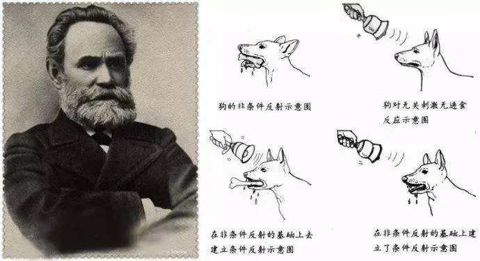 狗真的对主人有感情么