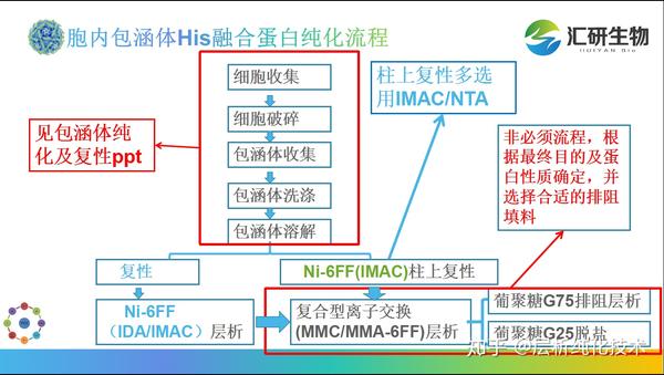 his标签蛋白纯化全攻略