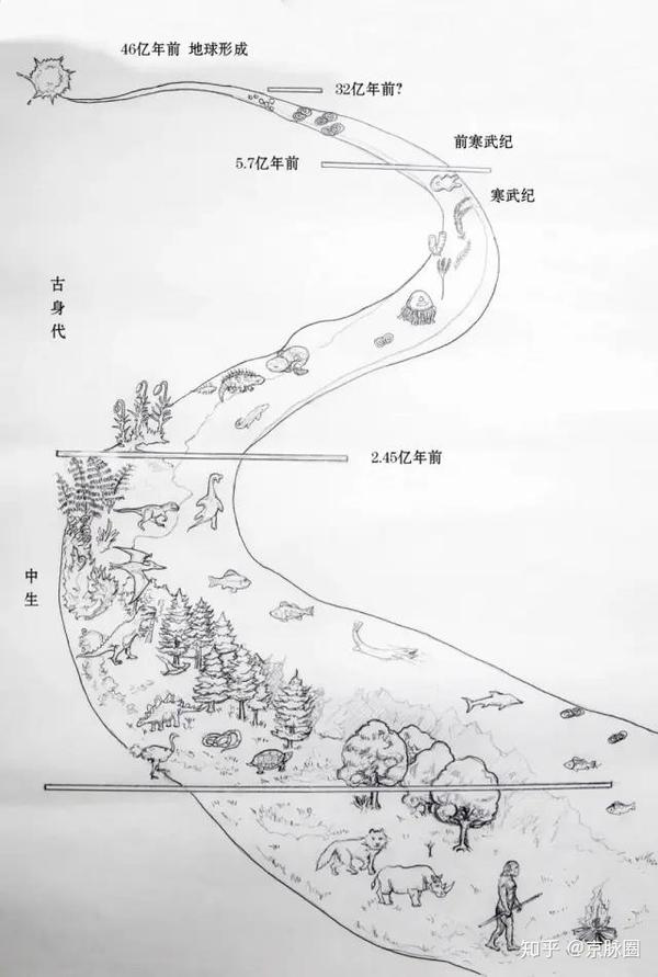 地球生物演化图