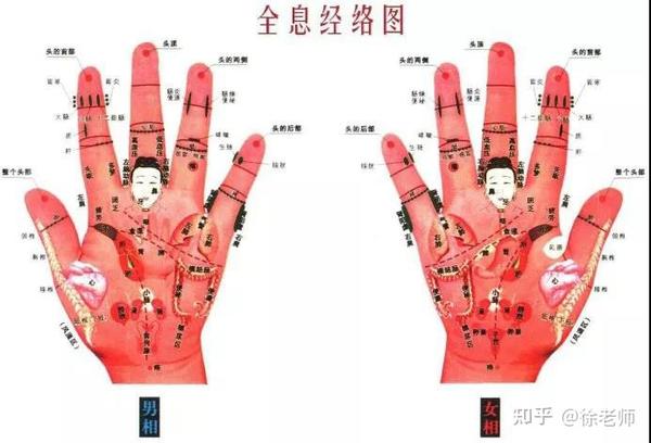 收藏这张人体全息图穴位不用找