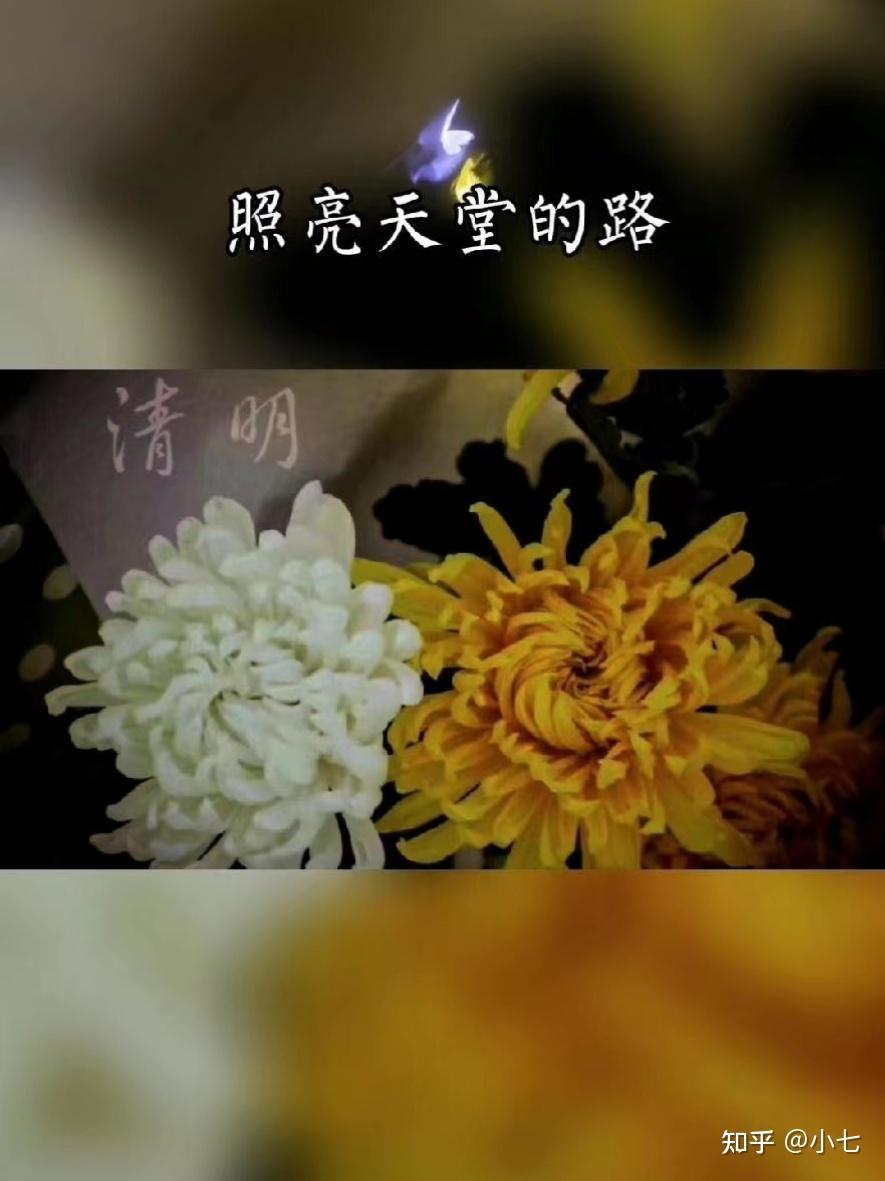 你长眠,我常念…一别再无归期,不忘的是伤痛.