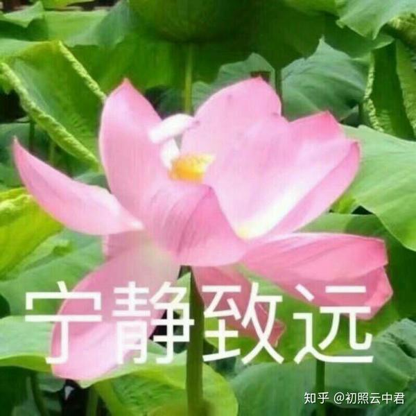 有哪些有feel的佛系头像?