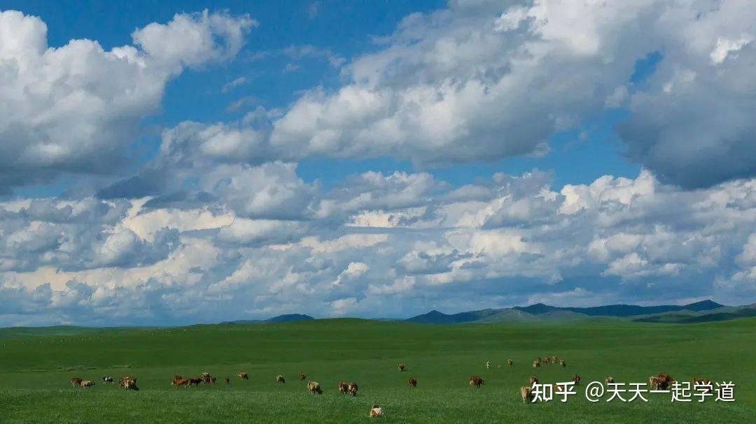 来自内蒙古大草原的风干牛肉干鲜香带劲越嚼越香