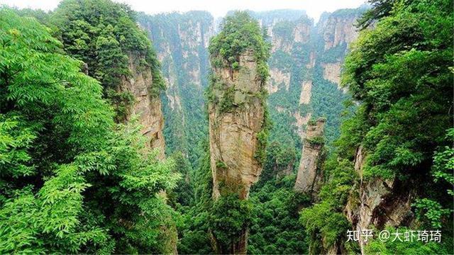 带5岁以下的小朋友能去张家界旅游吗带小孩玩几天合适