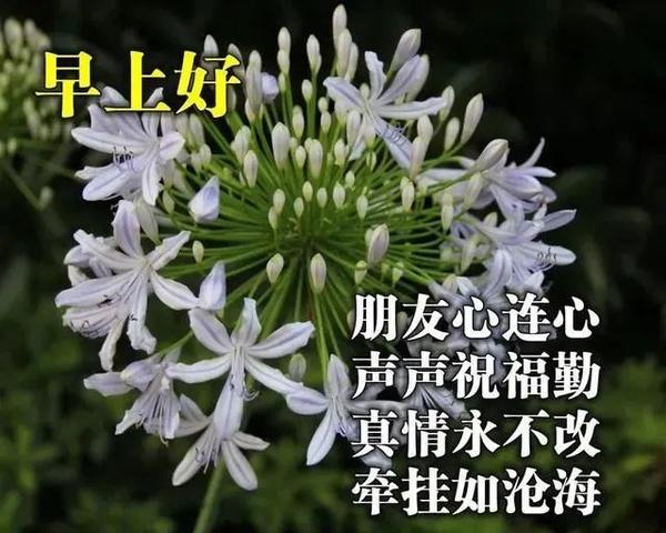 亲爱的朋友早安!早上好祝福语动态图片 2021牛年早上好祝福图片带字