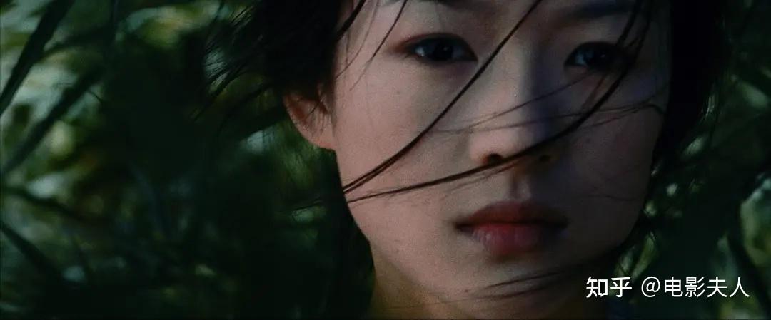 卧虎藏龙里玉娇龙爱的到底是谁是小虎还是李慕白
